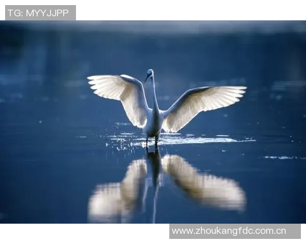 勇士在卡巴配外线阵容中展现绝对优势8分半内打出27-14的精彩表现