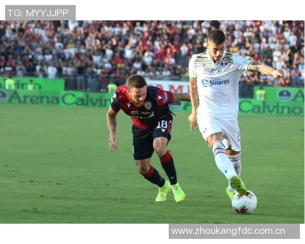 埃尔纳内斯：国米展现意大利足球之巅的实力与风采